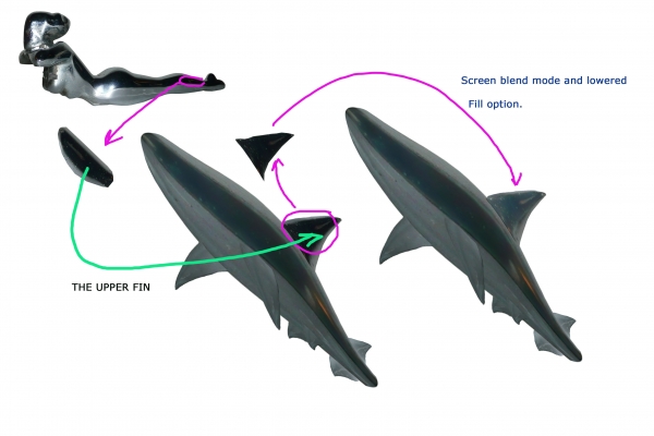 Creation of Run, Fishy, Run: Step 7